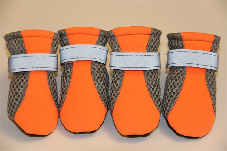 Jogging Shoes