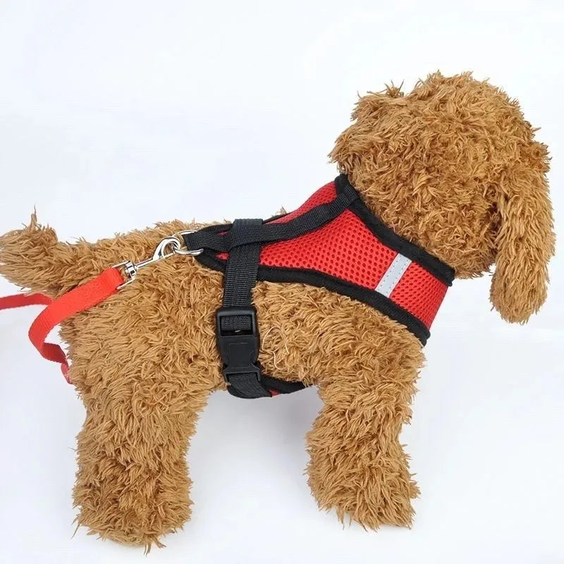 Petmiva Cat Vest – Lightweight Pet Clothing