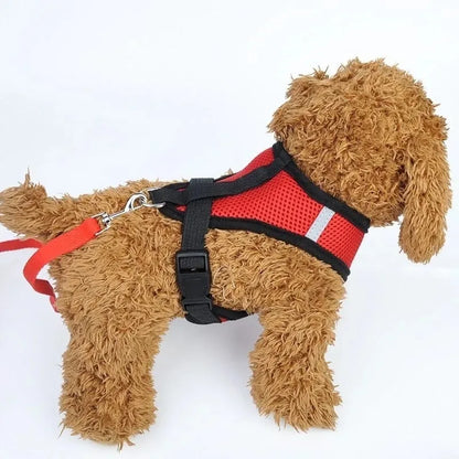 Petmiva Cat Vest – Lightweight Pet Clothing