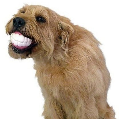 Petmiva Smiley Ball Chew Toy for Dogs & Cats – Dental Health