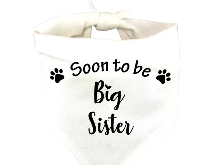 Petmiva Soon To Be Big Sister Pet Bandana for Dogs & Cats