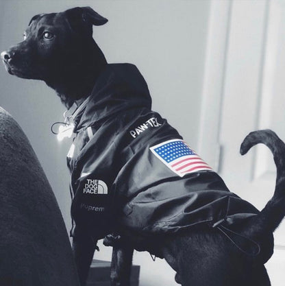 Dog Face Jacket