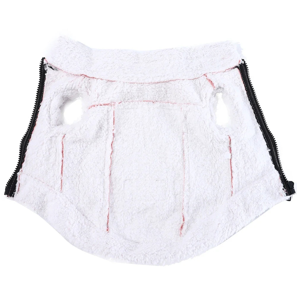 Dog Clothes Winter