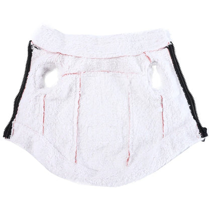 Dog Clothes Winter