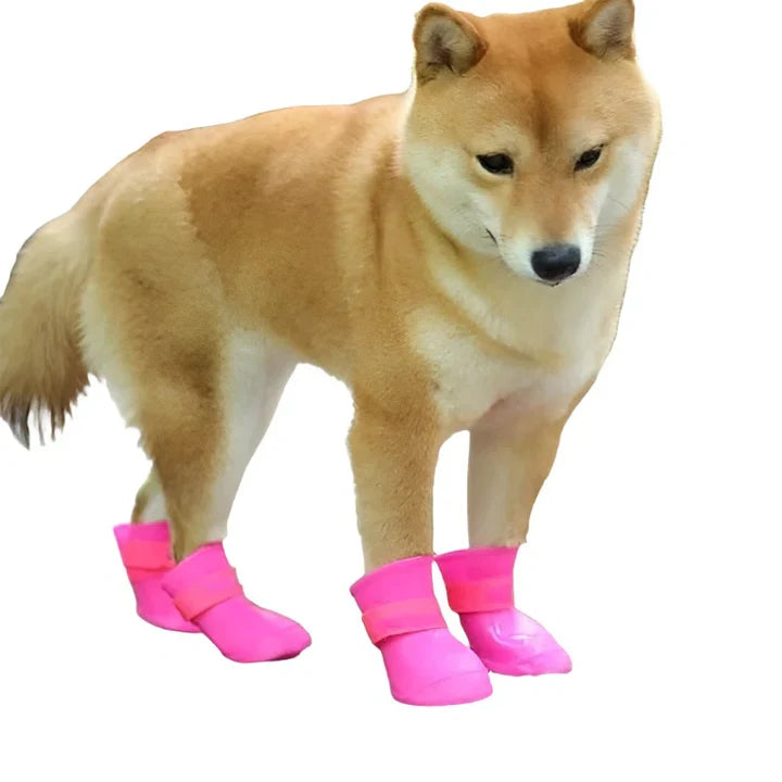 Petmiva Rainy Shoe Waterproof Pet Boots for Dogs & Cats