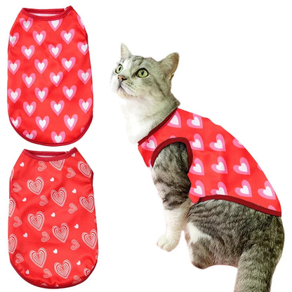 Petmiva Lovebug Sweater for Dogs & Cats – Knit Pet Clothing