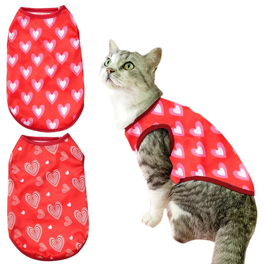 Petmiva Lovebug Sweater for Dogs & Cats – Knit Pet Clothing