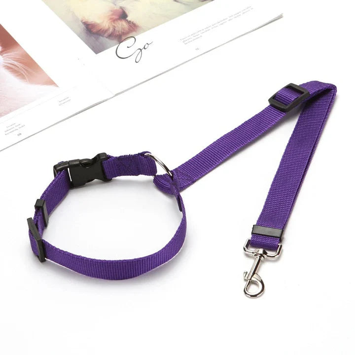 Petmiva Pet Car Seat Belt for Dogs & Cats – Safety Restraint