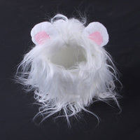Lion white