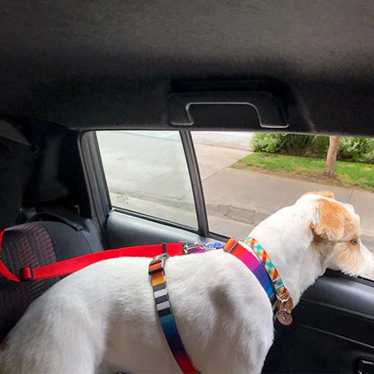 Petmiva Pet Car Seat Belt for Dogs & Cats – Safety Restraint