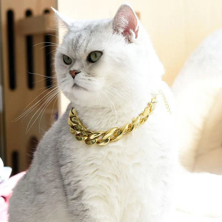 Petmiva Necklace Chain for Dogs & Cats – Pet Jewelry