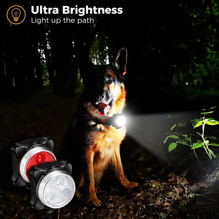 Petmiva Light Lamp Pet Accessory for Dogs & Cats