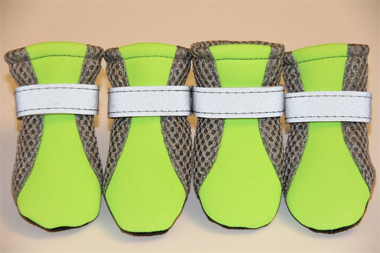 Jogging Shoes