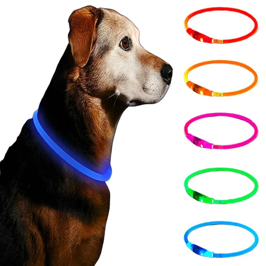 Petmiva LED Collar for Dogs & Cats – Light-Up Safety Collar