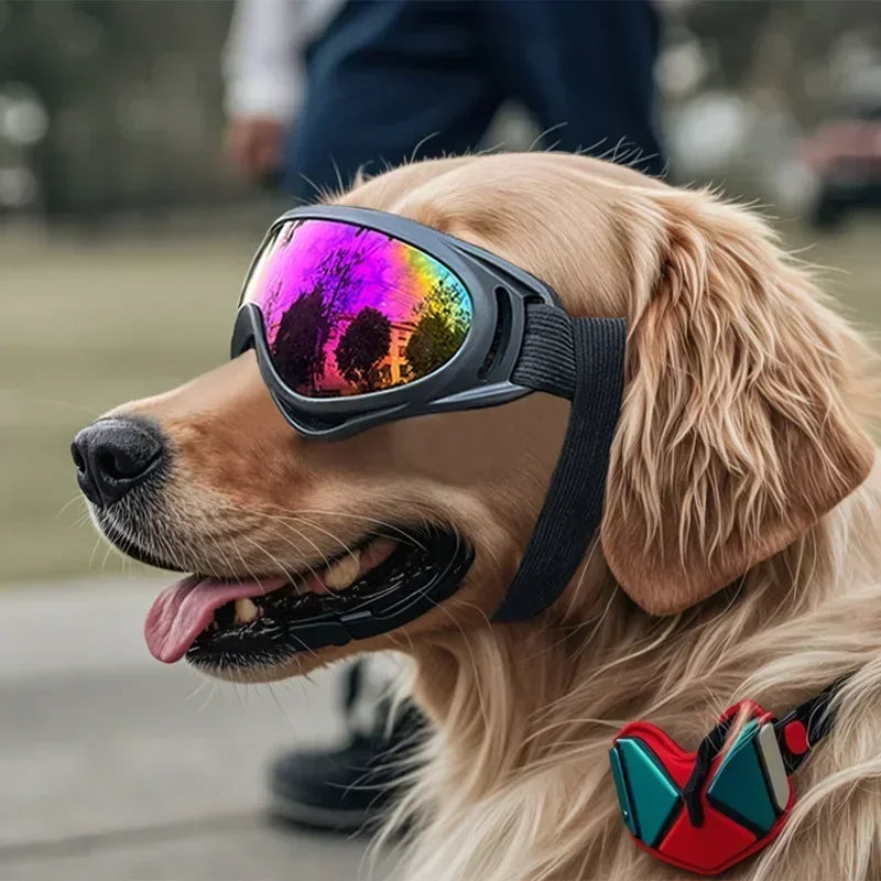 Goggles for Dogs