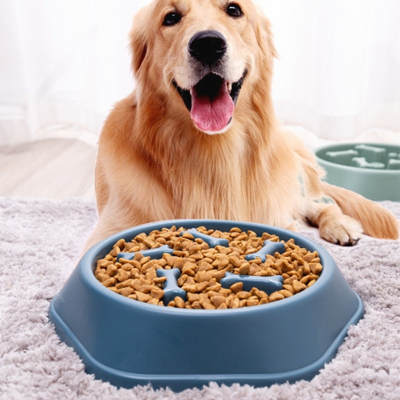 Petmiva Ushio Anti-Choking Slow Feeder Dog Bowl – Anti-Gulping