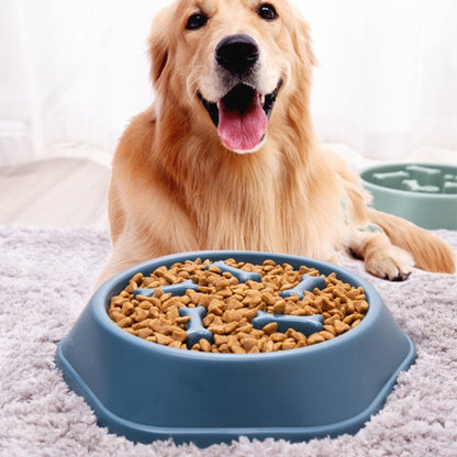 Petmiva Ushio Anti-Choking Slow Feeder Dog Bowl – Anti-Gulping