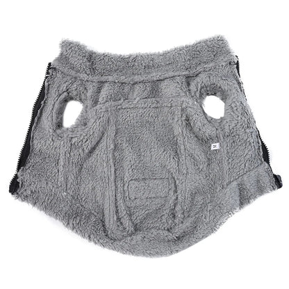 Dog Clothes Winter