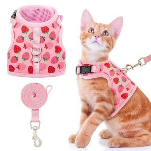 Petmiva Strawberry Pet Outfit for Dogs & Cats – Cute Costume