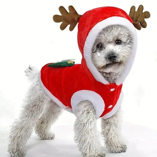 Petmiva Acantha Pet Dress for Dogs & Cats – Elegant Outfit