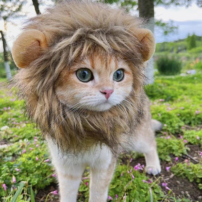 Petmiva Lion Wig Costume for Cats – Mane Headwear