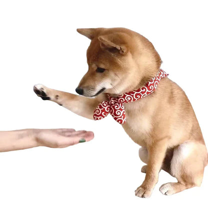 Petmiva Tangol Pet Bandana for Dogs & Cats