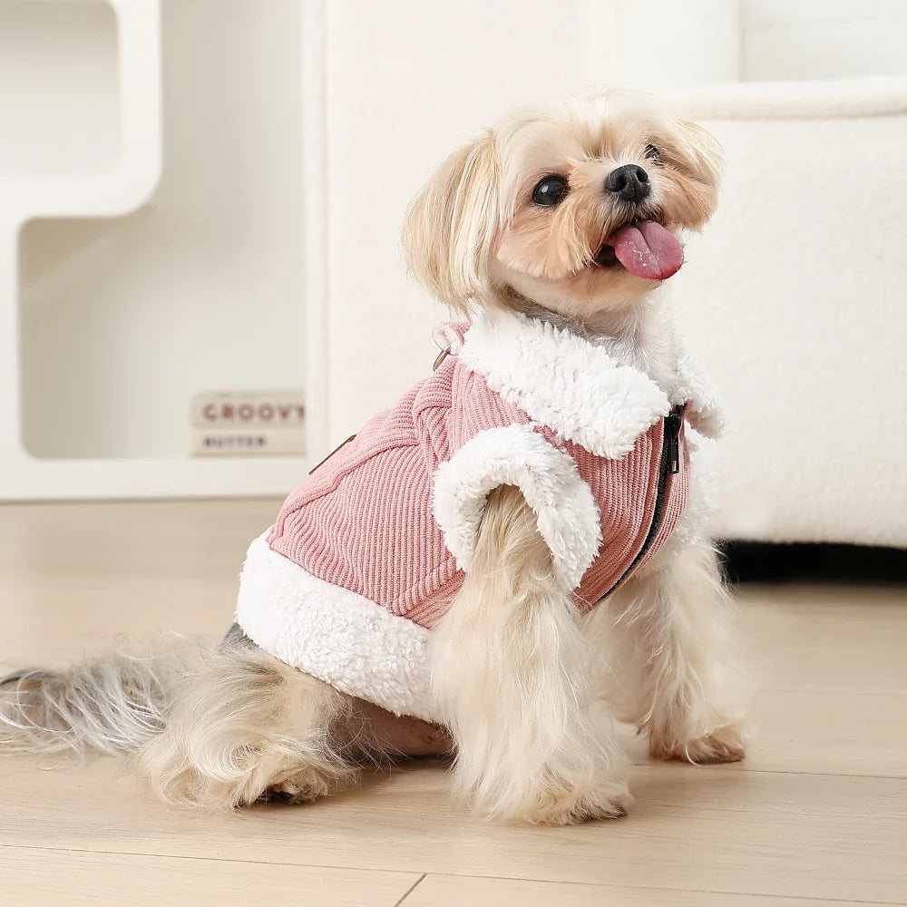 Dog Clothes Winter