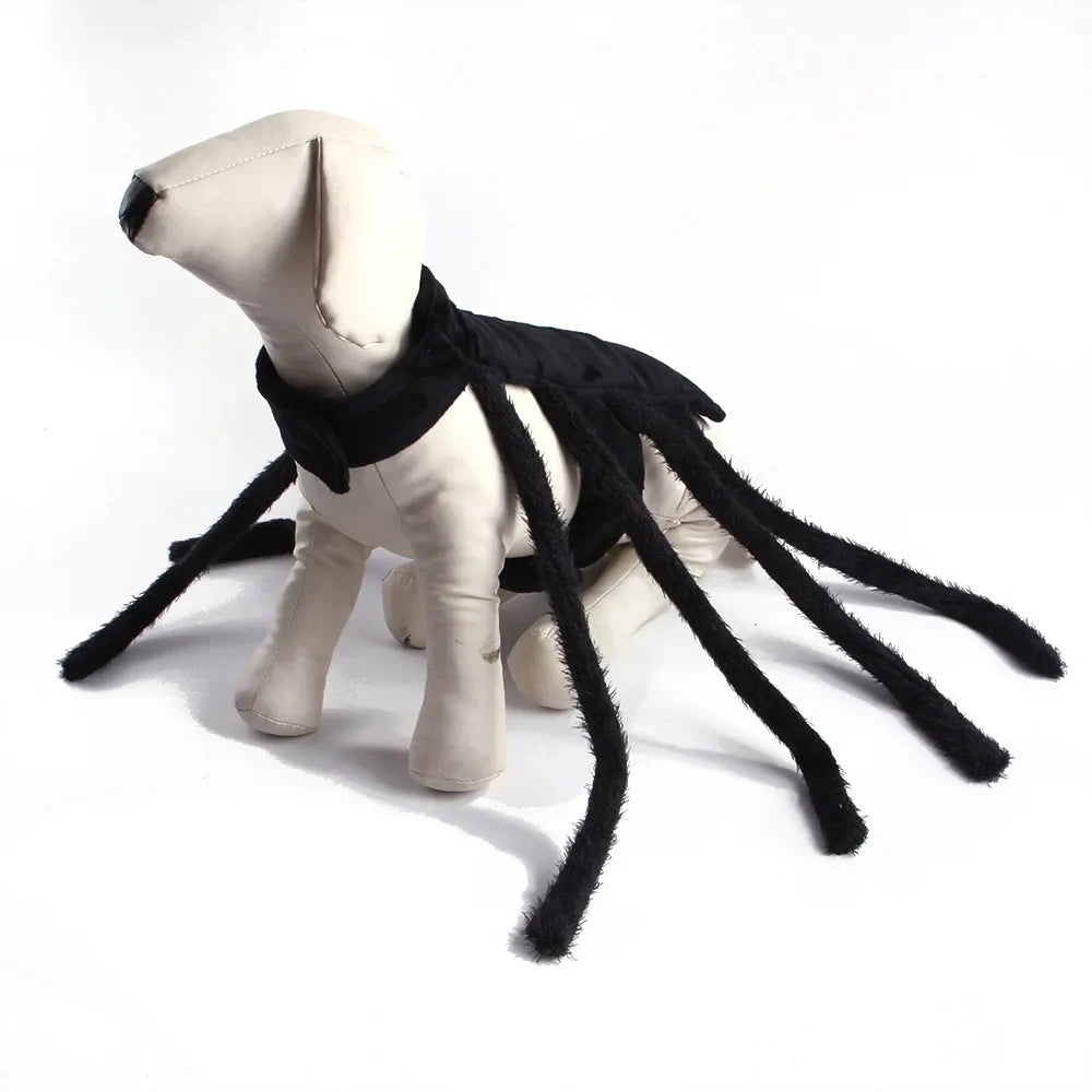 Petmiva Web Spinner Halloween Spider Costume for Dogs & Cats