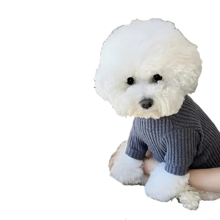 Petmiva Capa Pet Outfit for Dogs & Cats – Classic Design