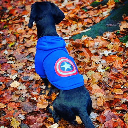 Petmiva Avengers Pet Costume for Small Dogs & Cats