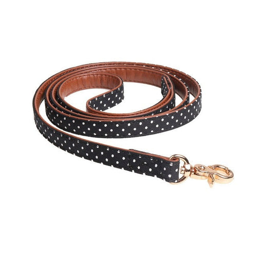 Petmiva Corinna Leather Leash for Dogs & Cats – Premium Lead