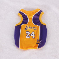 LAKERS