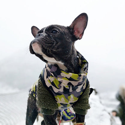 Petmiva Camo Harness Jacket for Dogs & Cats – Outdoor Wear