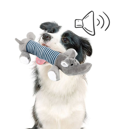 Squeak Chew Dog