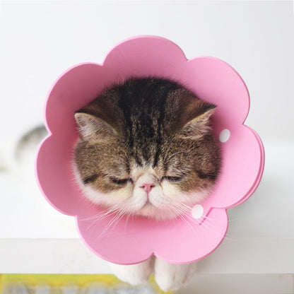 Petmiva Protective Recovery Collar for Cats – Adjustable E-Collar