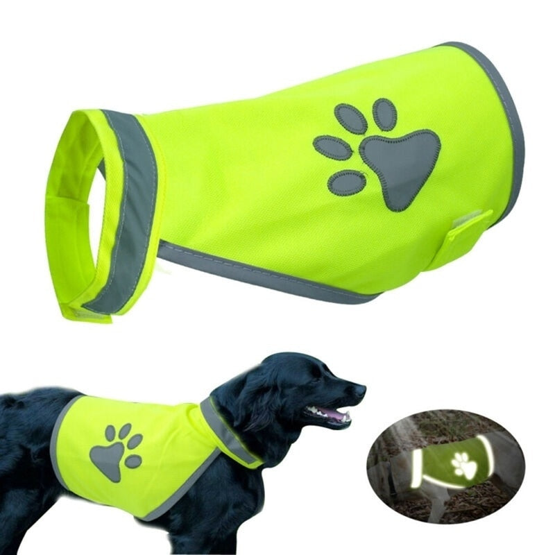 Reflective Vest