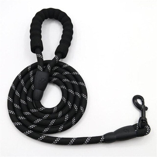 RIO Leash