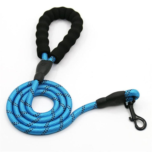 RIO Leash