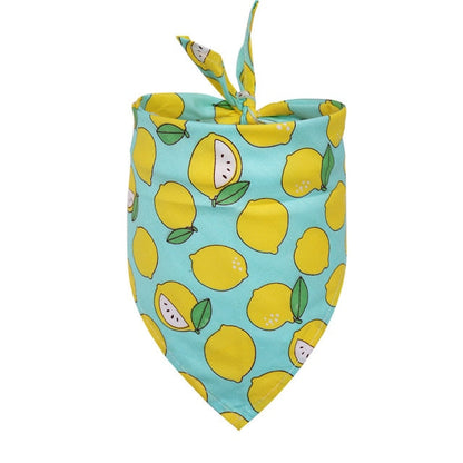 Petmiva Fruity Pet Bandana for Dogs & Cats – Colorful Neck Scarf