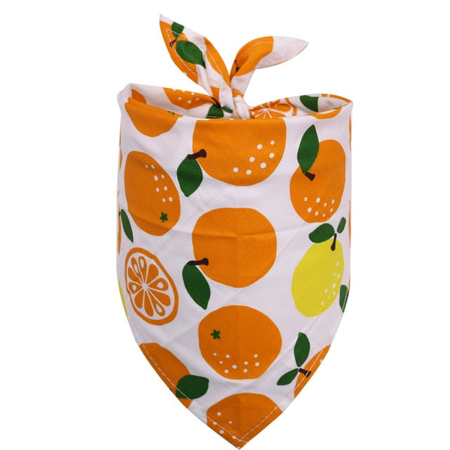 Petmiva Fruity Pet Bandana for Dogs & Cats – Colorful Neck Scarf