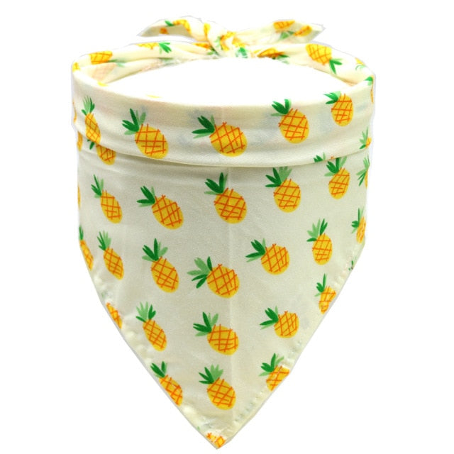 Petmiva Fruity Pet Bandana for Dogs & Cats – Colorful Neck Scarf